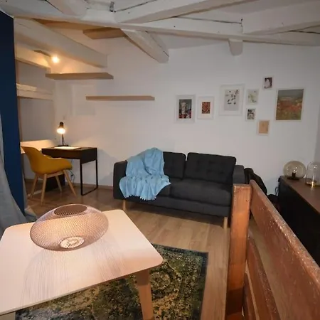 Le Studio Du Quai Des Pecheurs - Charmant Duplex Sur Les Quais Estrasburgo Exterior foto