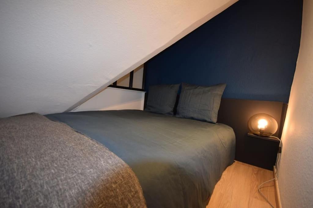 Le Du Quai Des Pecheurs - Duplex Sur Les Quais Apartment Strasbourg
